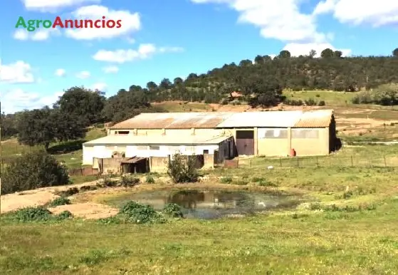 Venta  de Finca ganadera con nave en Huelva