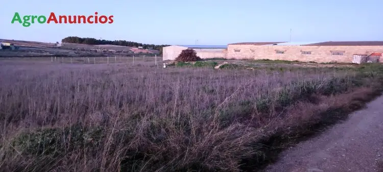 Venta  de Terreno de secano en Cuenca