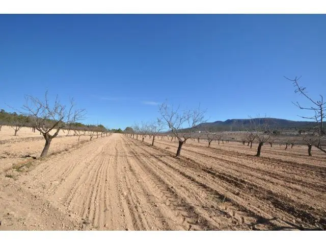 Parcela En Venta Monovar - 12836m2 - 220 Almendros