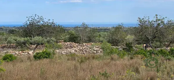 Finca Rustica en L Ametlla de Mar Tarragona con Vistas al Mar