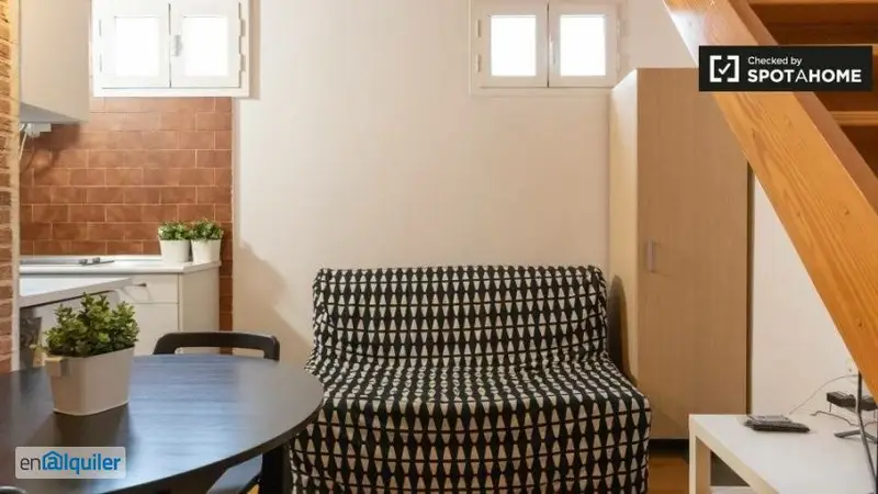 Apartamento 1 Dormitorio Lavapiés Madrid Centro