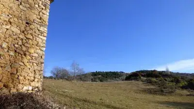 Borda en Bisaurri con prado de 2800m2