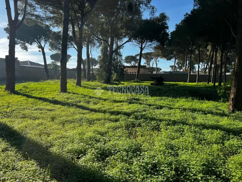 Terrenos en venta en Chiclana De La Frontera