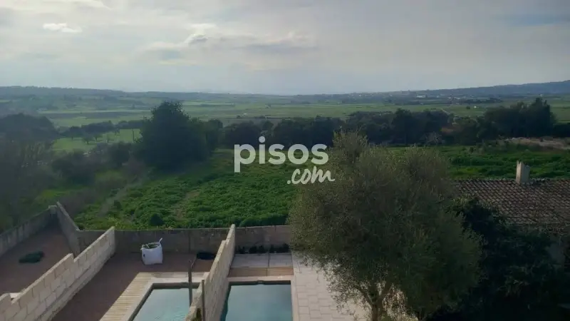Duplex en Alquiler Ariany Mallorca 3 Habitaciones Piscina