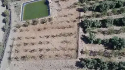 Finca Rustica en Venta Fiñana 30000m2