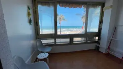 Apartamento Playa Muchavista Agosto Estudio Reformado