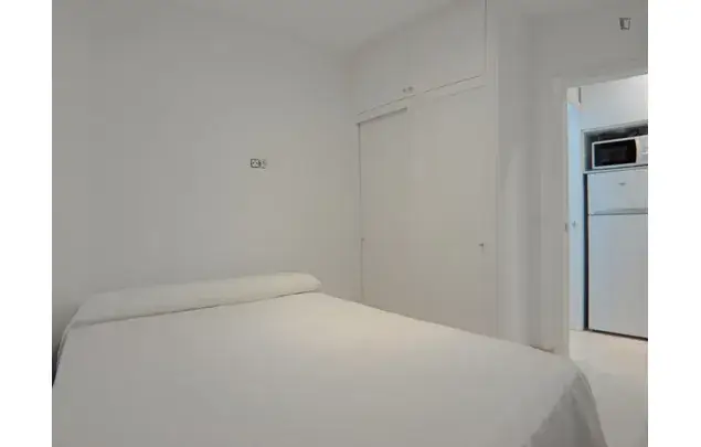 Alquiler Apartamento 1 Dormitorio Madrid 3-24 Meses