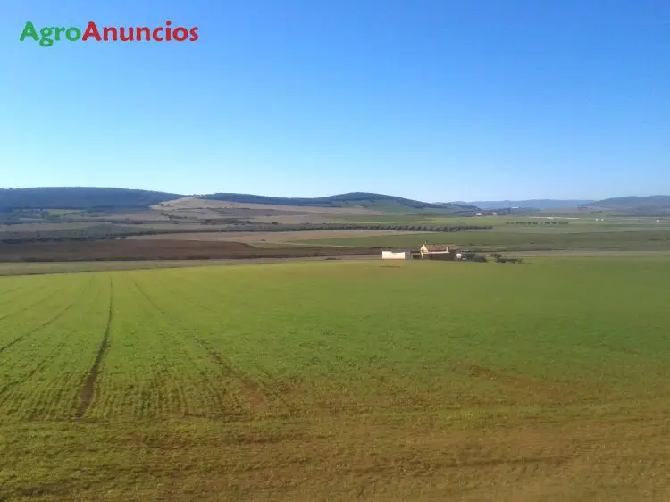 Venta  de Finca de secano en Ciudad Real