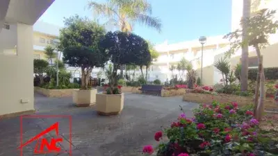 Alquiler Vacacional Apartamento Costa Ballena