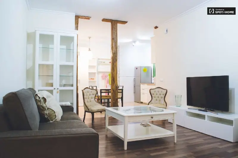 Apartamento en Malasaña Centro Madrid 1 Dormitorio 70m2