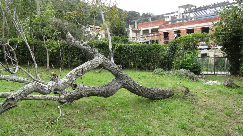 Solar en Pechon Val de San Vicente 374m2