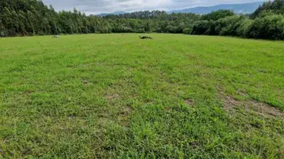 Finca Rustica en Venta Mungia 25352m2