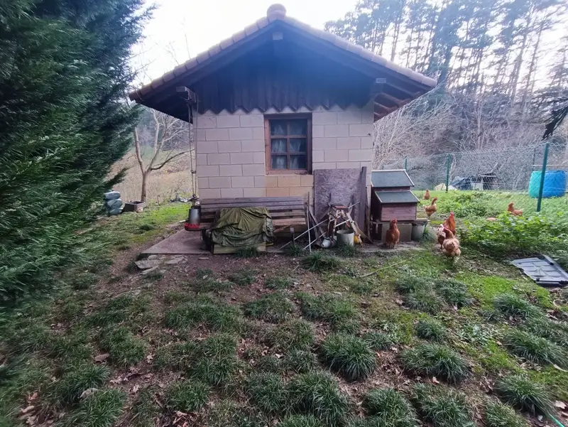Venta Finca en Basabe Aretxabaleta