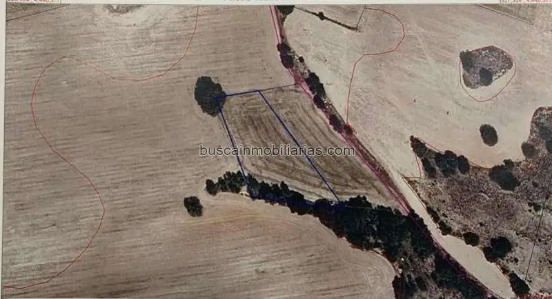 Parcela Rustica en Venta en El Escudo Huete Cuenca
