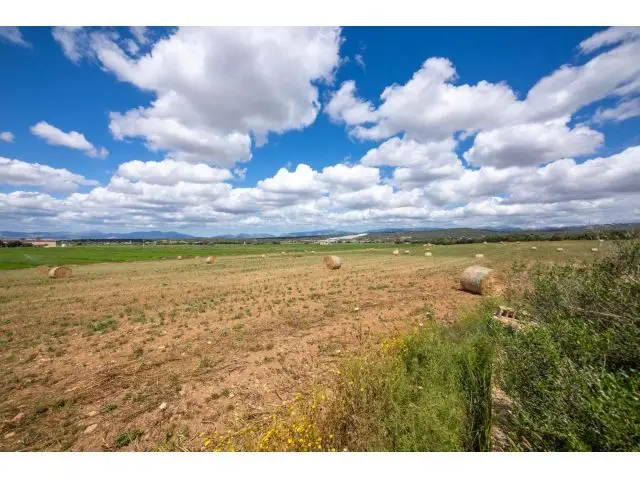 Finca Rustica con potencial Agricola y Energetico en Sa Casa Blanca