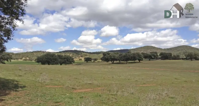 Venta Finca Rustica con Chimenea en Badajoz