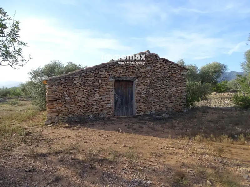 Finca Rustica en Venta Tortosa 14914m2 Olivos Caseta