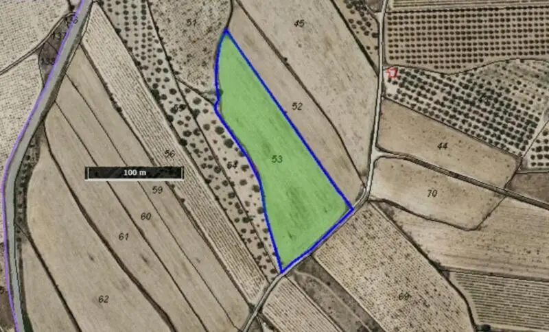 Terreno en Venta Salinas Alicante 14400m2 Vistas Montaña