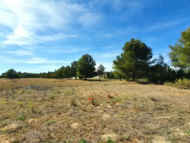 Terreno Rustico Casas Viejas Albacete 14500m2