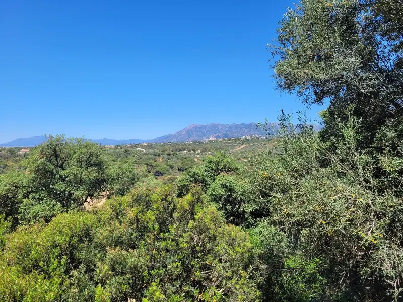 Terreno en Venta Elviria Vistas al Mar y Montana