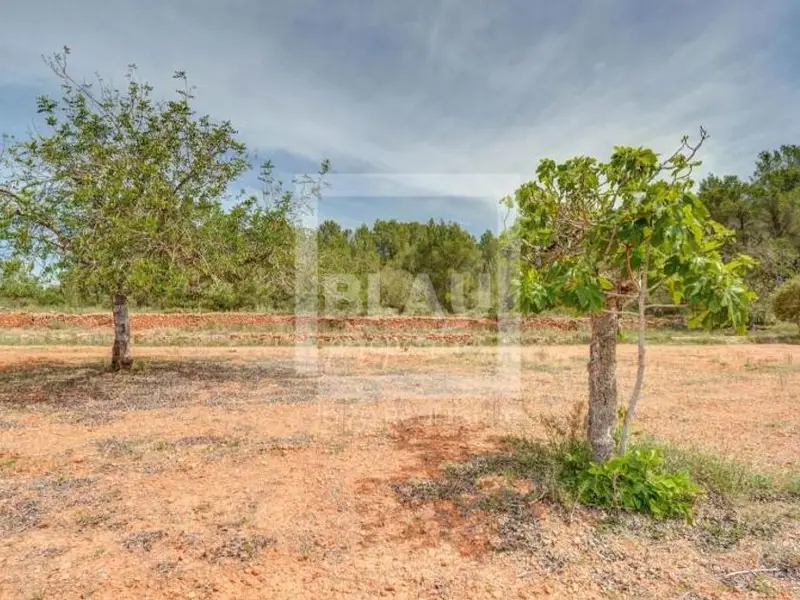 venta Terreno en Sant Antoni de Portmany, Balears (Illes) (ALY-1134)- Globaliza