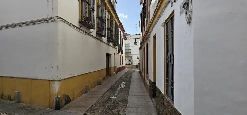 Venta Solar en San Lorenzo, Centro Córdoba - Ref: M201380