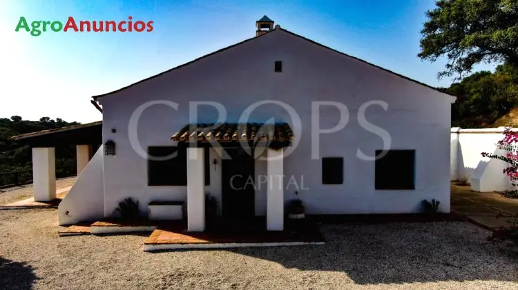 Venta  de Finca de recreo en Sevilla