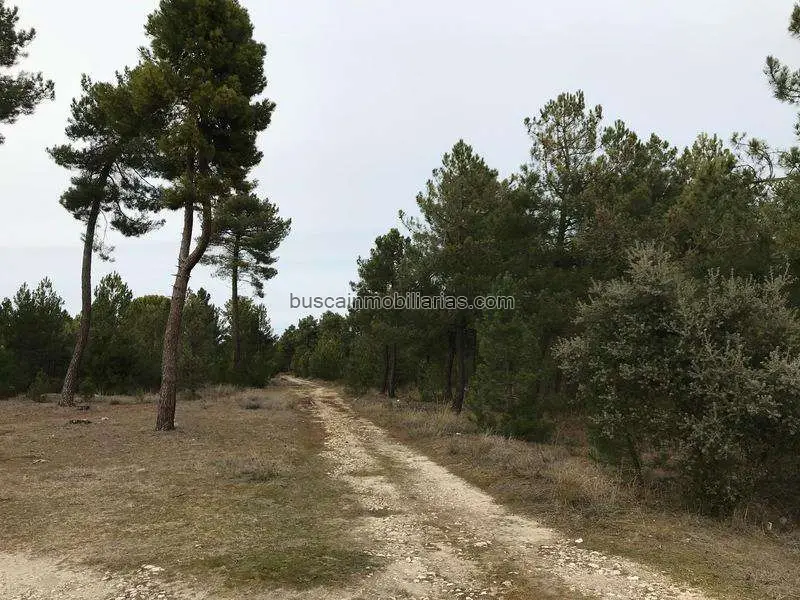 Parcela Rústica en Venta en Cuéllar 130600m²
