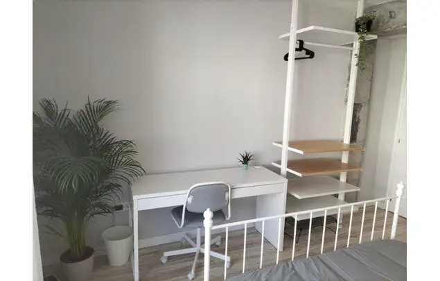 Alquiler Apartamento 4 Dormitorios Alicante Mercado