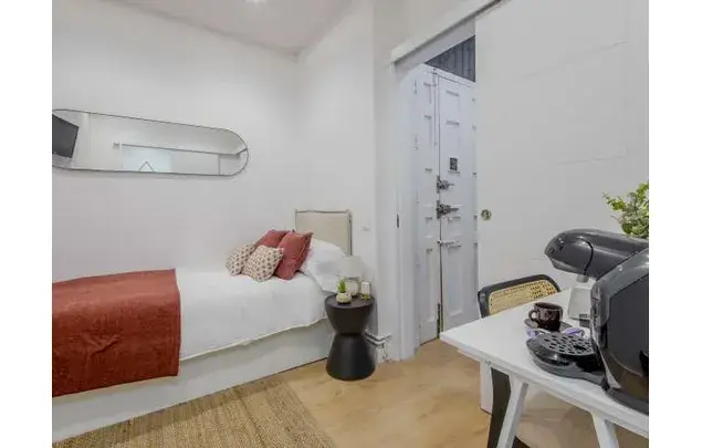 Alquiler Habitacion 100m2 Madrid