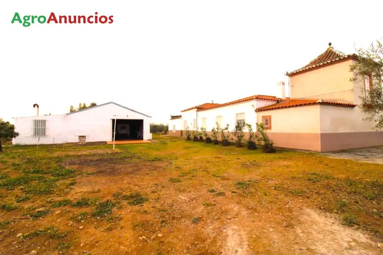 Venta  de Finca de recreo en Badajoz