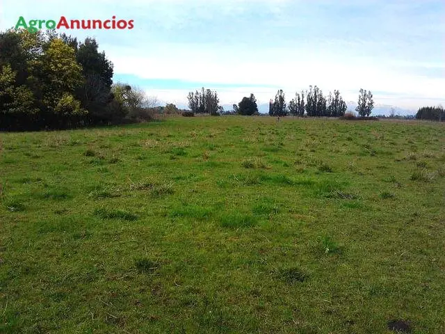 Venta  de Finca ganadera con cebadero en Cáceres