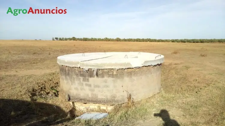 Venta  de Finca de regadío en Sevilla