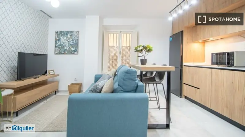 Apartamento 1 Dormitorio en Alquiler Cadiz