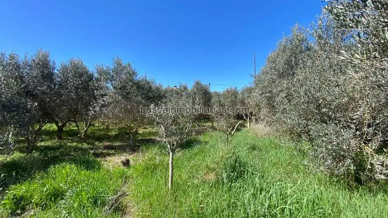 Parcela Urbana en Venta Grañén Huesca 848m2