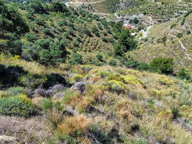 Finca en Almuñécar, Granada provincia