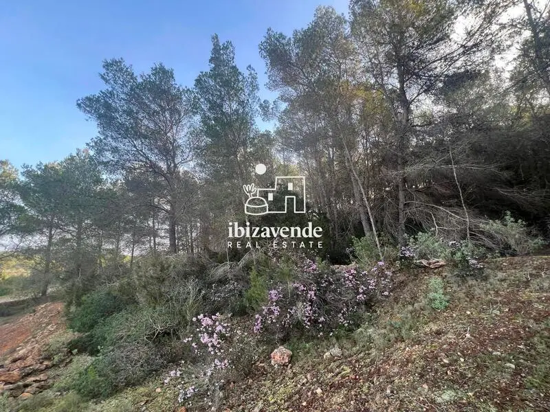Terreno Rústico en Venta Santa Gertrudis Ibiza 100000m2