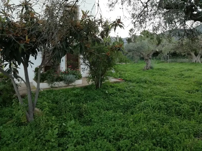 Habitacion Alquiler Malaga España con Piscina y Barbacoa