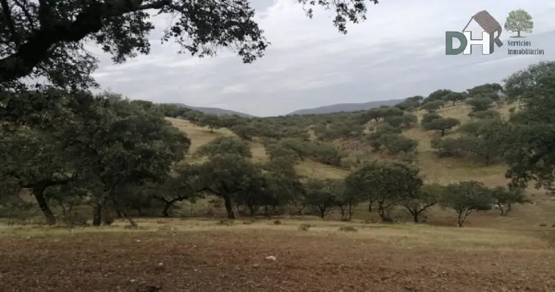 Venta Finca Rustica 350 Hectareas Caceres Caza Ganaderia
