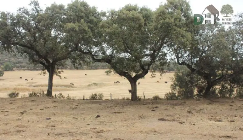 Venta Finca Rustica Reformada 475 Hectareas Badajoz