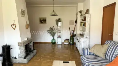 Alquiler Piso Avenida Oroel Temporada Escolar