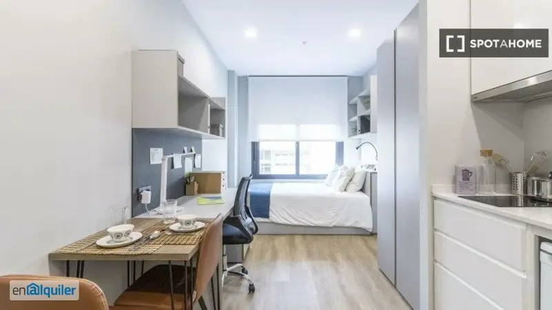 Estudio para Estudiantes en Sevilla con Wifi y Baño Privado