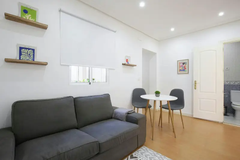 Apartamento 1 Dormitorio Alquiler Madrid