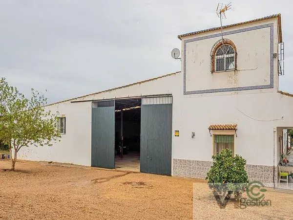 Finca Rustica en Sevilla Olivar Intensivo 332ha