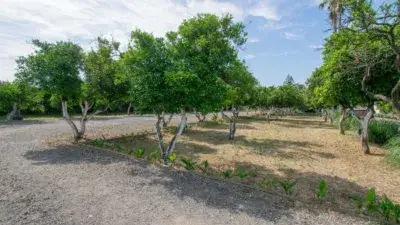 Finca Rústica en Sanlúcar La Mayor con Piscina y Zona Deportiva