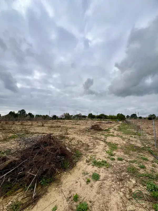 Venta Terreno Rustico Agricola Tarragona 5336m2 Avellanas