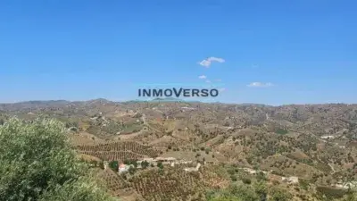 Finca Rustica en Venta Iznate Axarquia Malaga