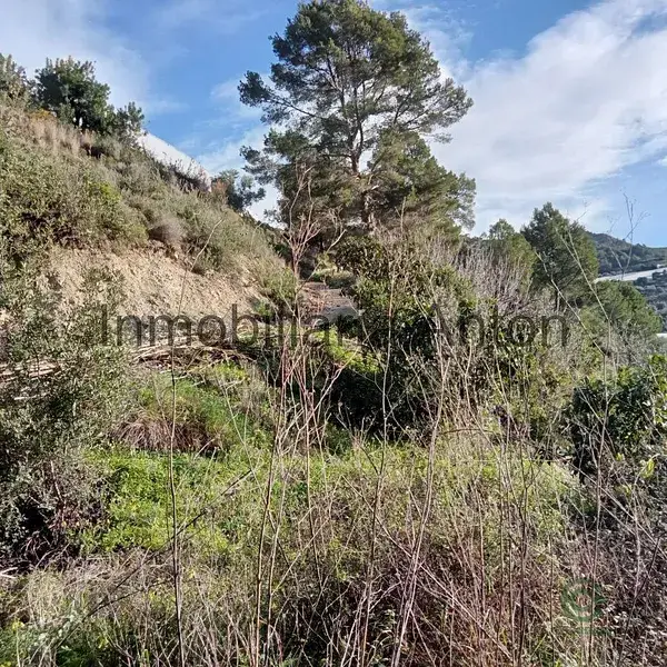 Parcela Rustica en Alicante con Agua de Fuente y Posibilidad de Construccion