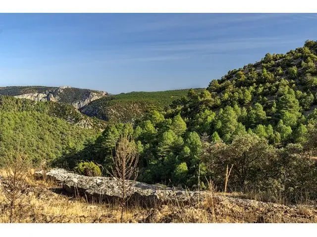 Finca Rustica 2140000m2 Vistabella del Maestrat