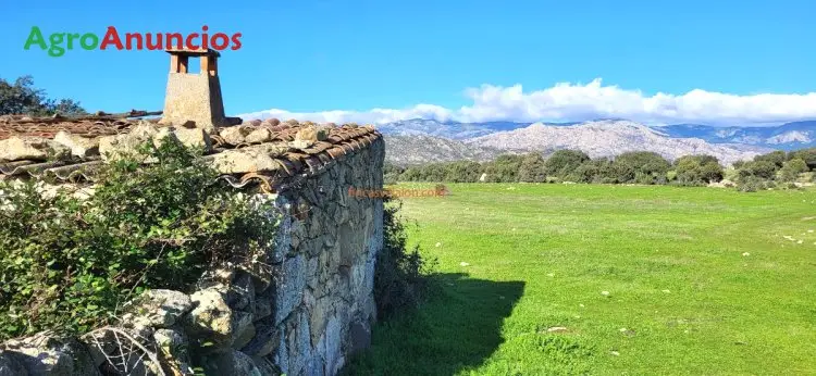 Venta  de Finca de recreo en Madrid